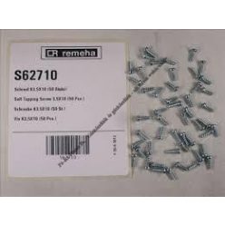 Remeha Csavar K3,5x10 (50db) S62710